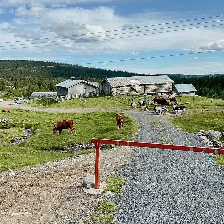 Koselig Hytte Med Turmuligheter Pa Synnfjell