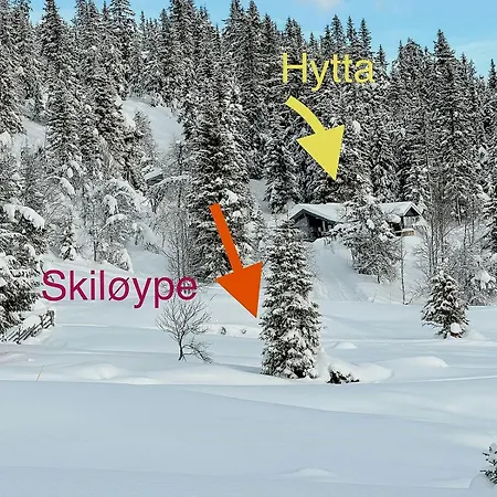 Koselig Hytte Med Turmuligheter Pa Synnfjell بيت للعطل